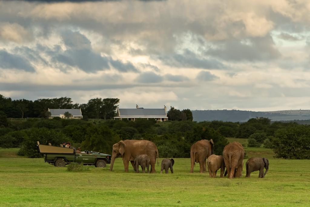 Riverbend Lodge Addo Zewnętrze zdjęcie