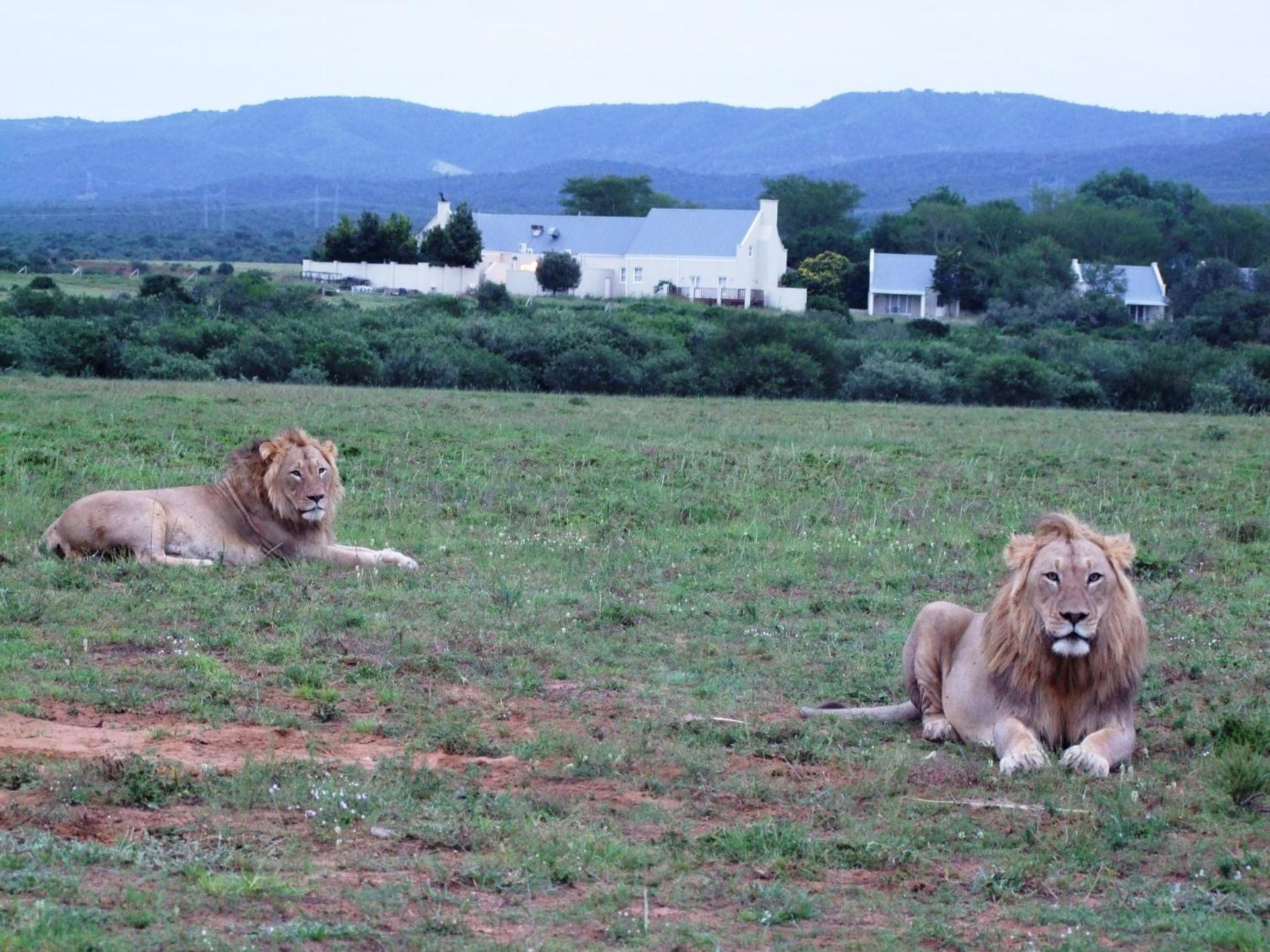 Riverbend Lodge Addo Zewnętrze zdjęcie
