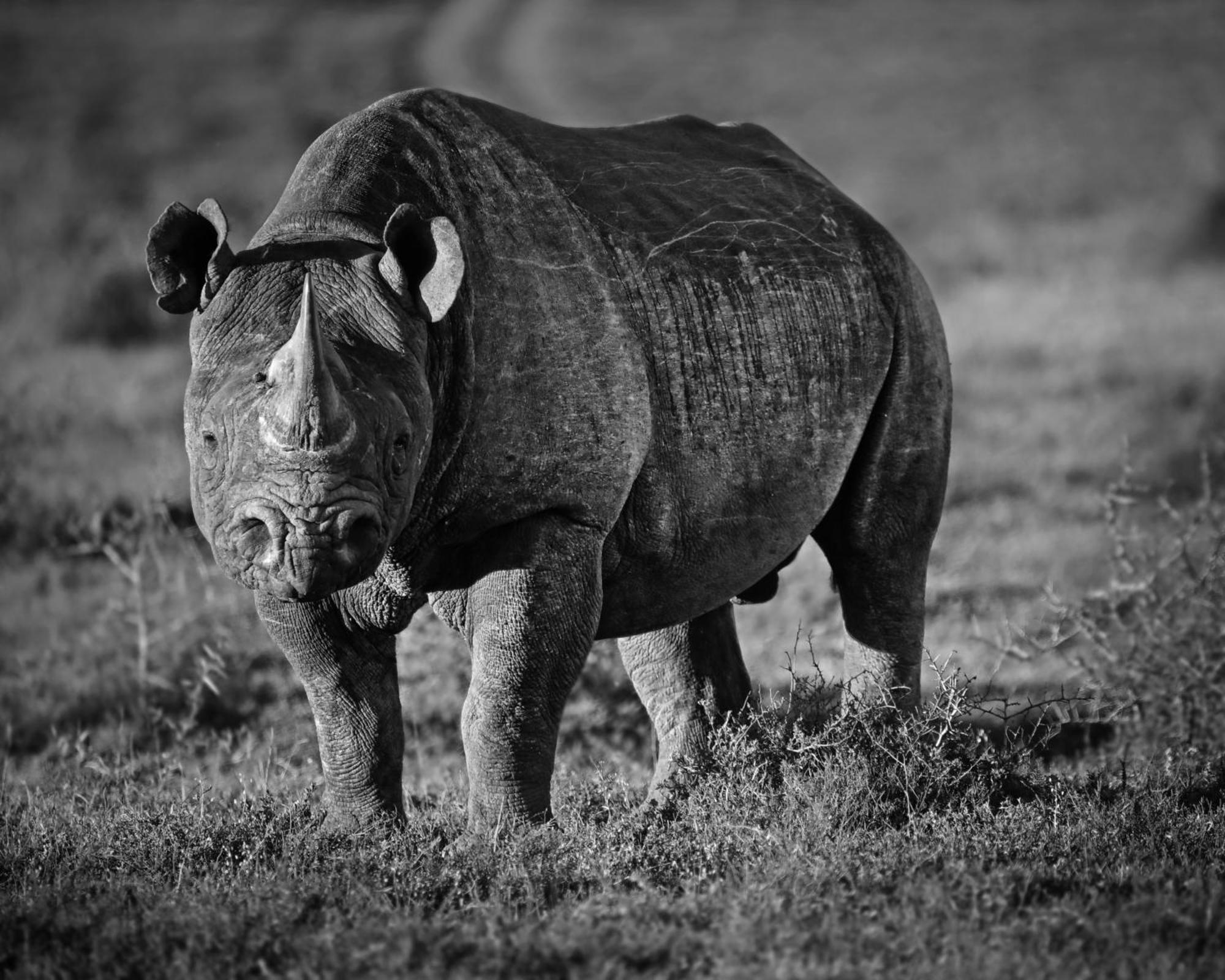 Riverbend Lodge Addo Zewnętrze zdjęcie