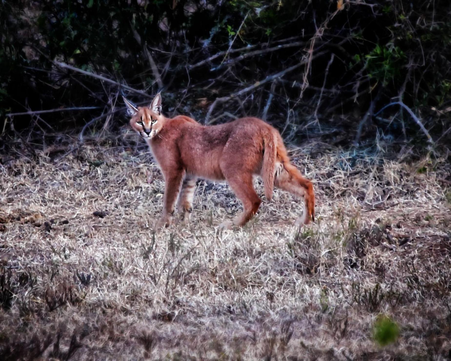 Riverbend Lodge Addo Zewnętrze zdjęcie