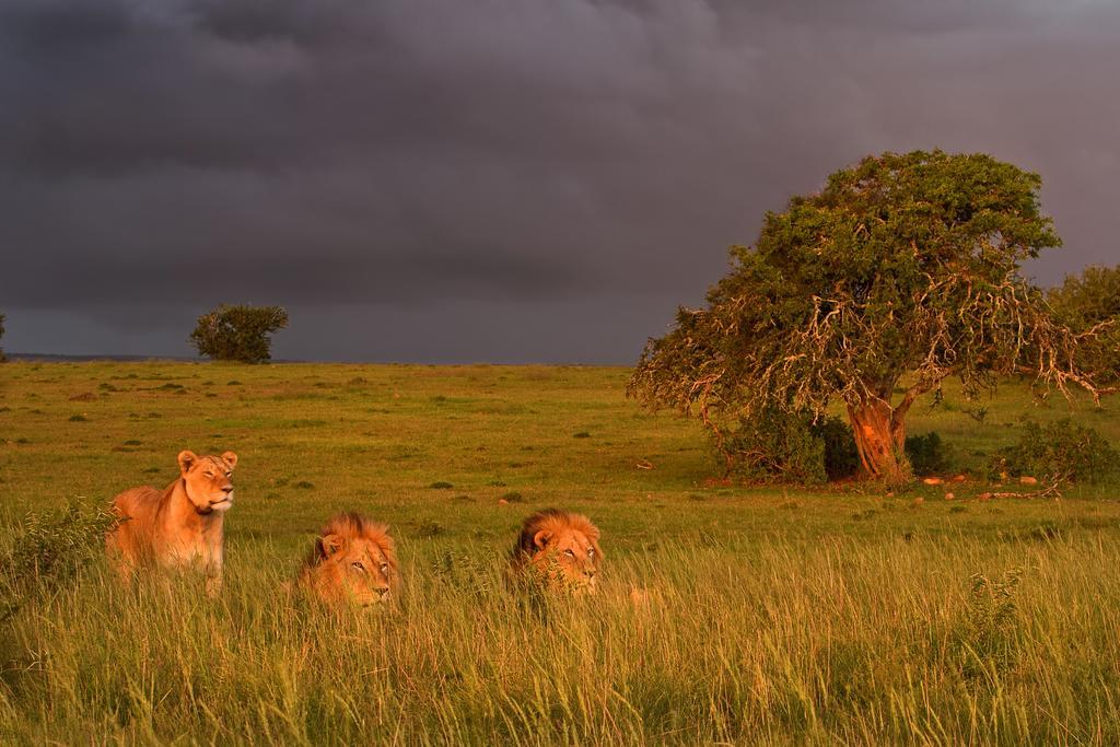 Riverbend Lodge Addo Zewnętrze zdjęcie