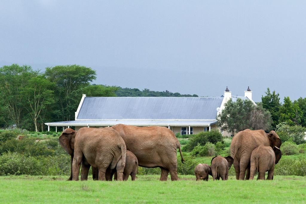 Riverbend Lodge Addo Zewnętrze zdjęcie