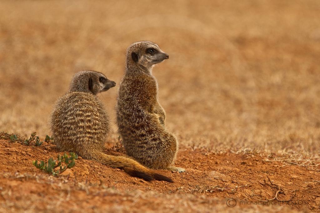 Riverbend Lodge Addo Zewnętrze zdjęcie