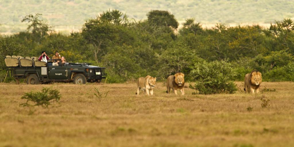 Riverbend Lodge Addo Zewnętrze zdjęcie