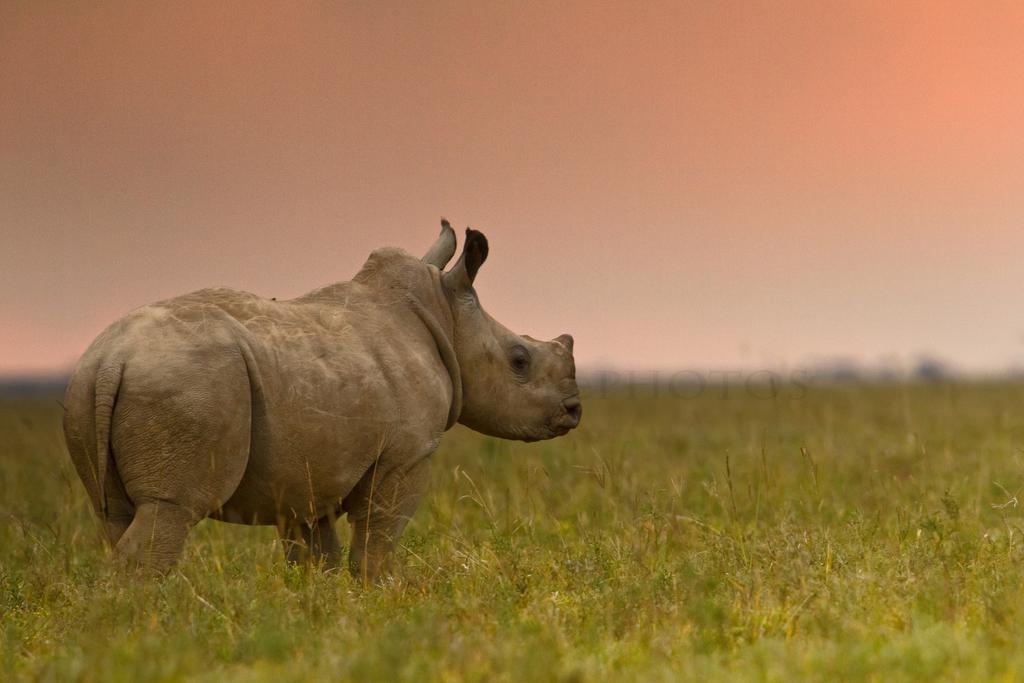 Riverbend Lodge Addo Zewnętrze zdjęcie