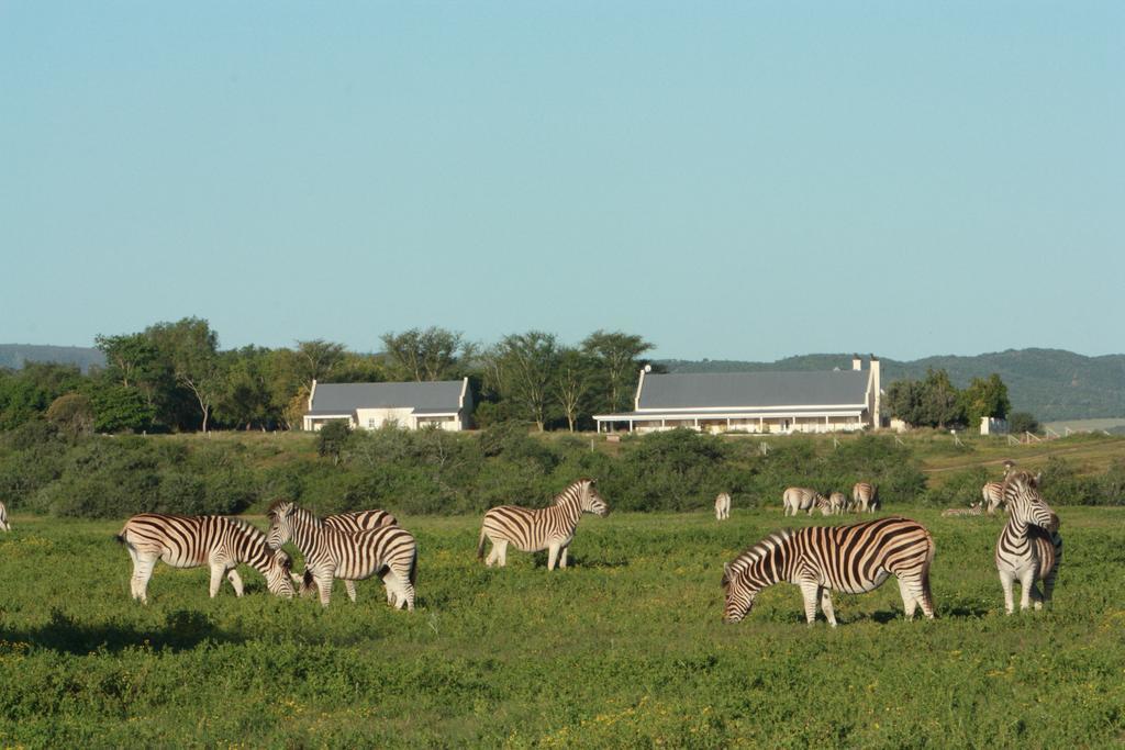 Riverbend Lodge Addo Zewnętrze zdjęcie