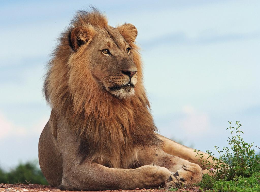 Riverbend Lodge Addo Zewnętrze zdjęcie