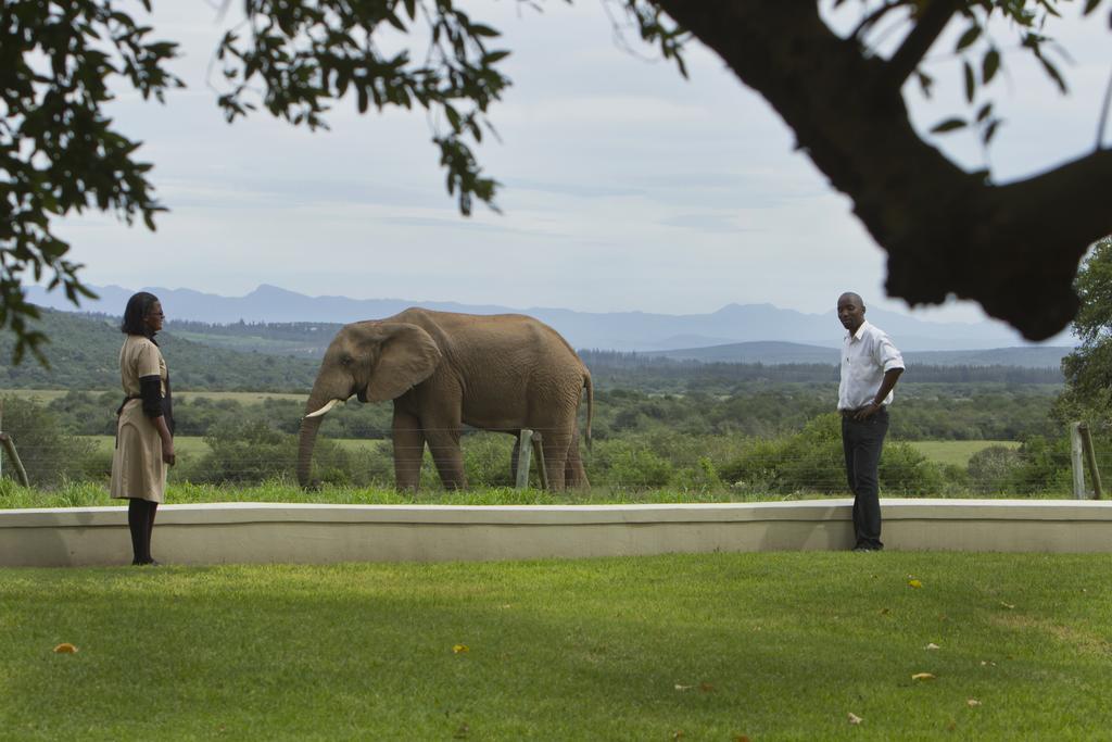 Riverbend Lodge Addo Zewnętrze zdjęcie