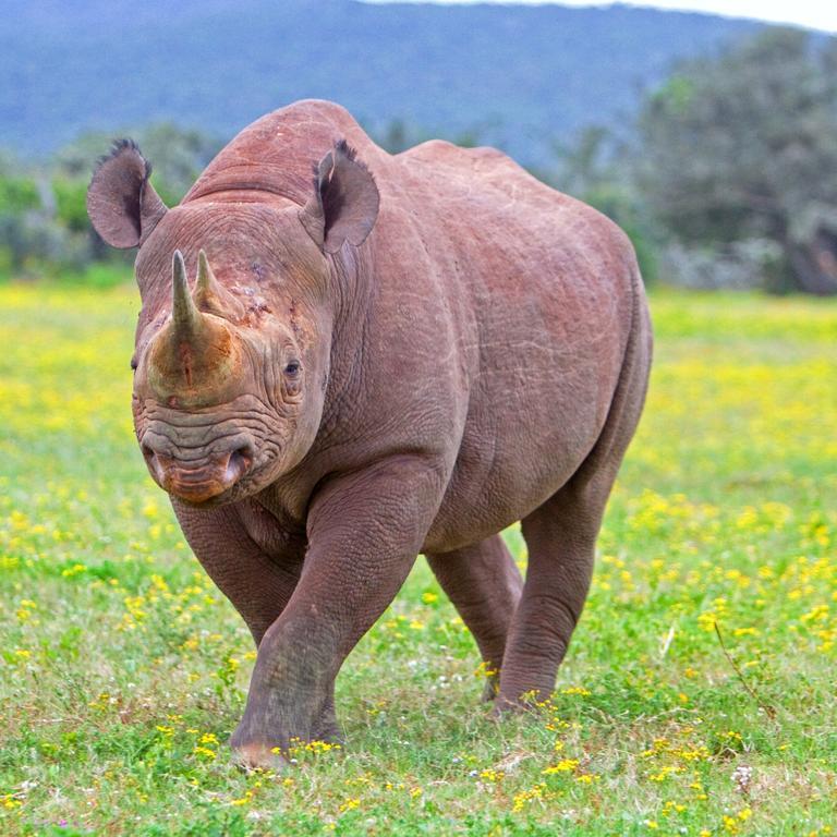 Riverbend Lodge Addo Zewnętrze zdjęcie