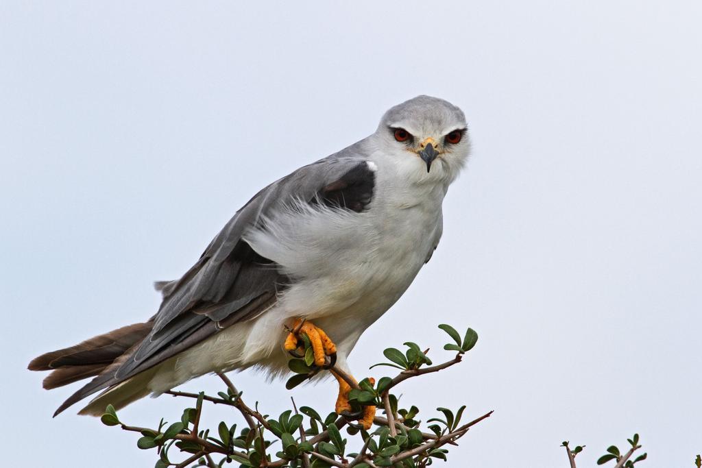 Riverbend Lodge Addo Zewnętrze zdjęcie