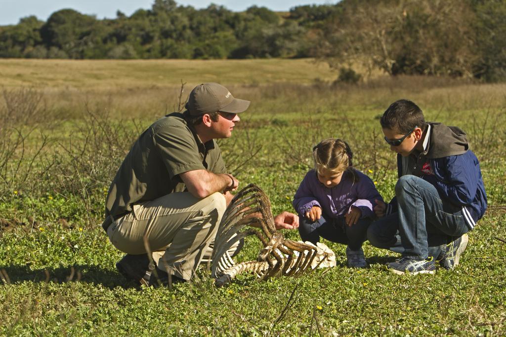 Riverbend Lodge Addo Zewnętrze zdjęcie