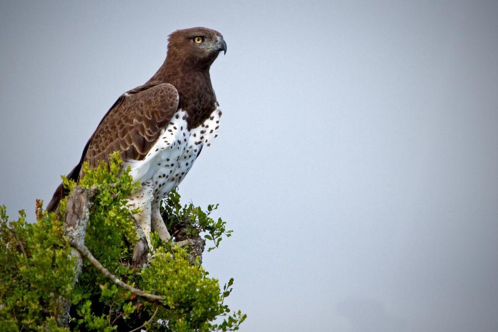 Riverbend Lodge Addo Zewnętrze zdjęcie